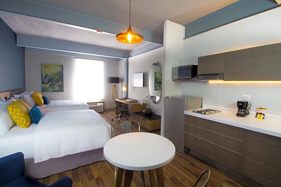 TRYP by Wyndham San Luis Potosi Hotel & Suites