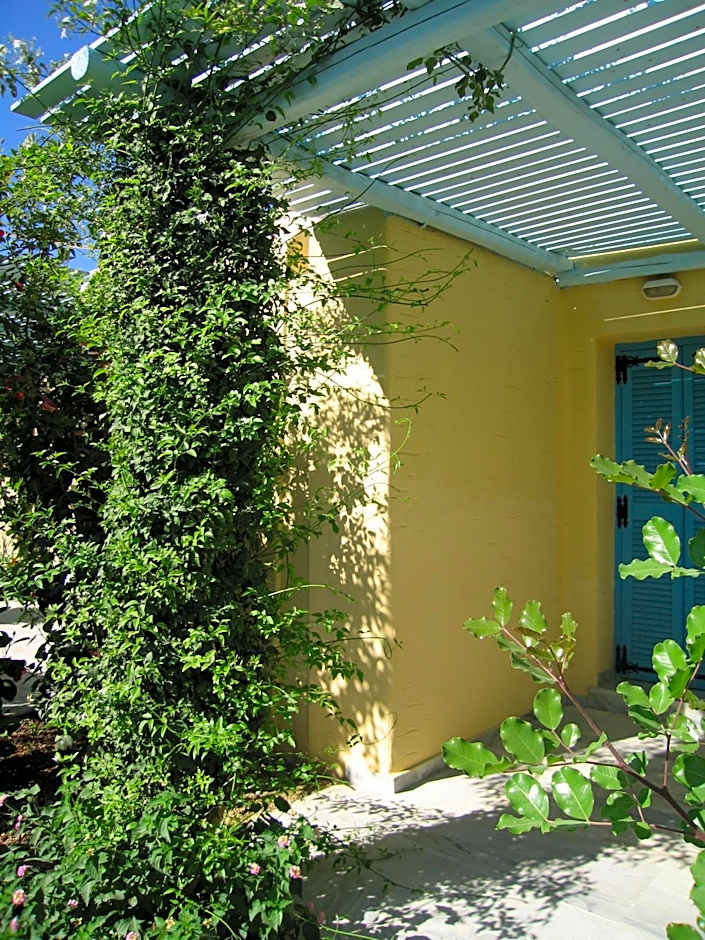 Surfing Beach Village Paros