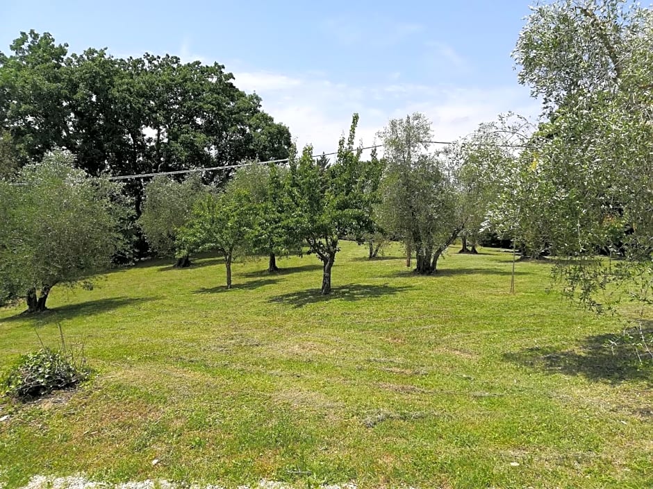 Umbria Country b&b