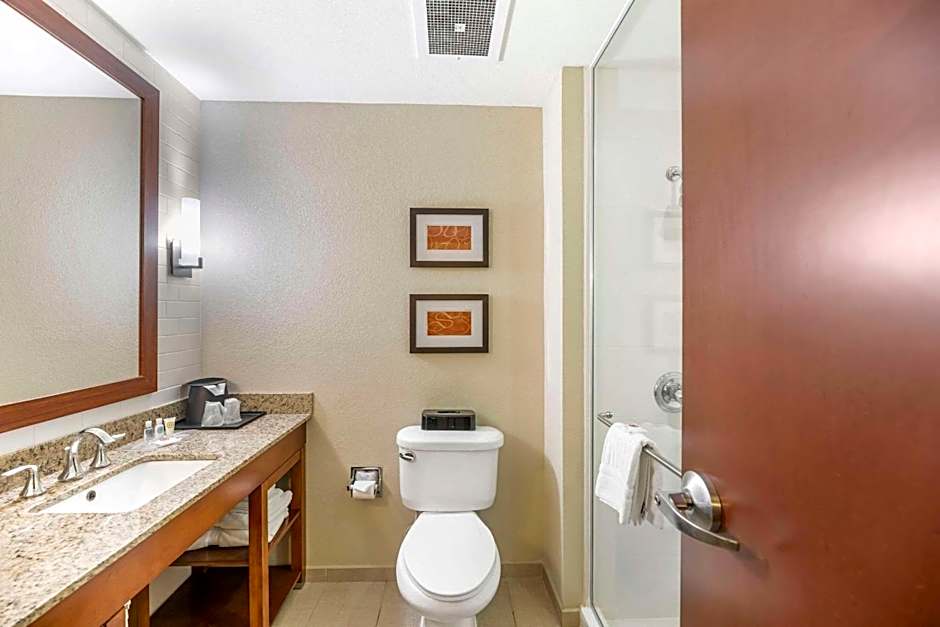 Comfort Suites Carlsbad
