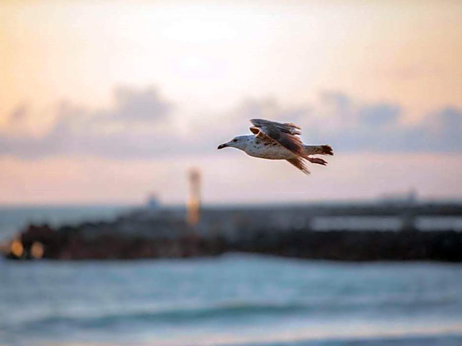 ibis budget Ciboure St-Jean-Luz