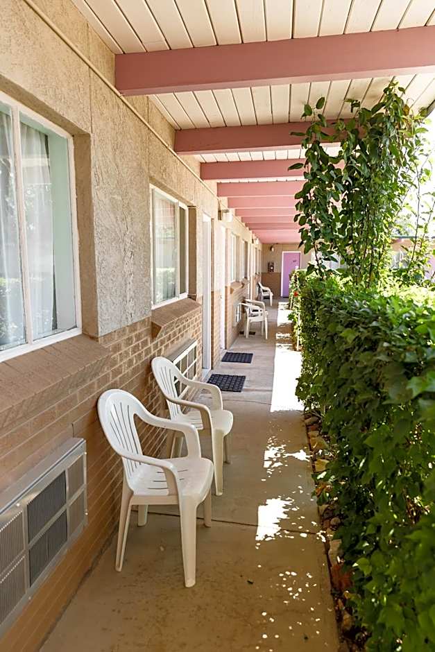 Safari Inn