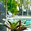 Noosa Tropicana