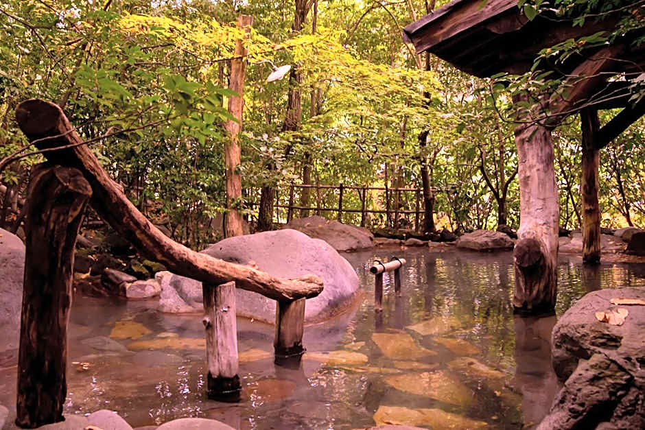 Kurokawa Onsen Oyado Noshiyu