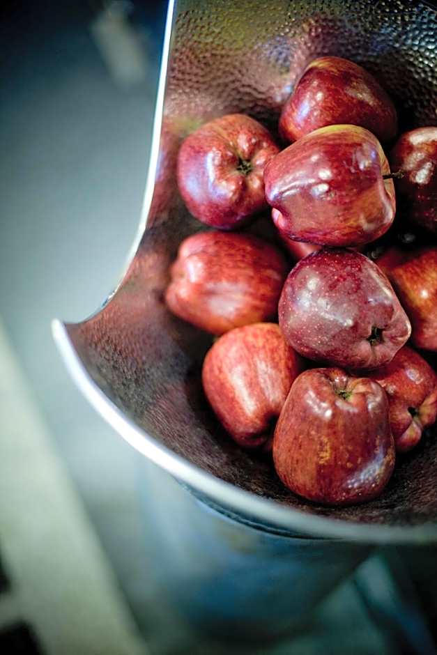 Alto Hotel on Bourke, an Ascend Collection Hotel