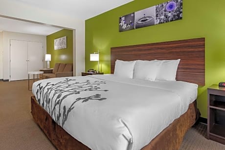 1 King Bed, Suite, Nonsmoking, Accessible