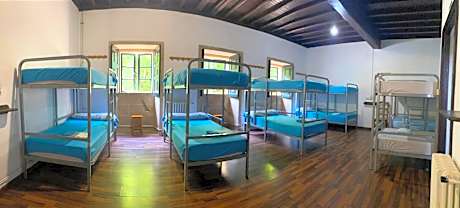 Bunk Bed in Mixed Dormitory Room