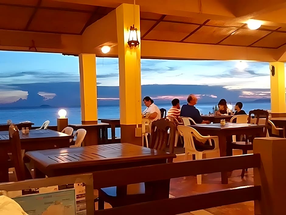 Sea Falcon on the Water