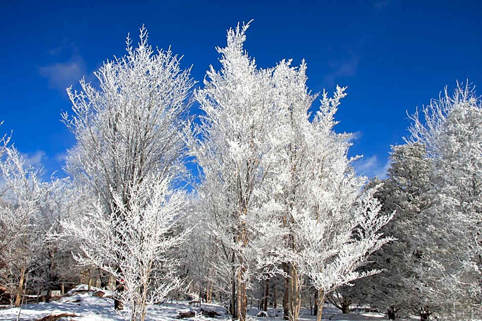 Twin-Line Hotel Karuizawa Japan