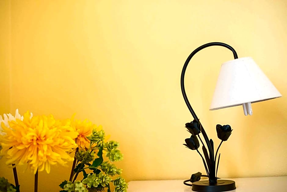 B&B L'Albero Dei Limoni