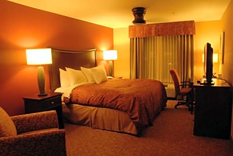 1 King Bed Studio Suite Nonsmoking