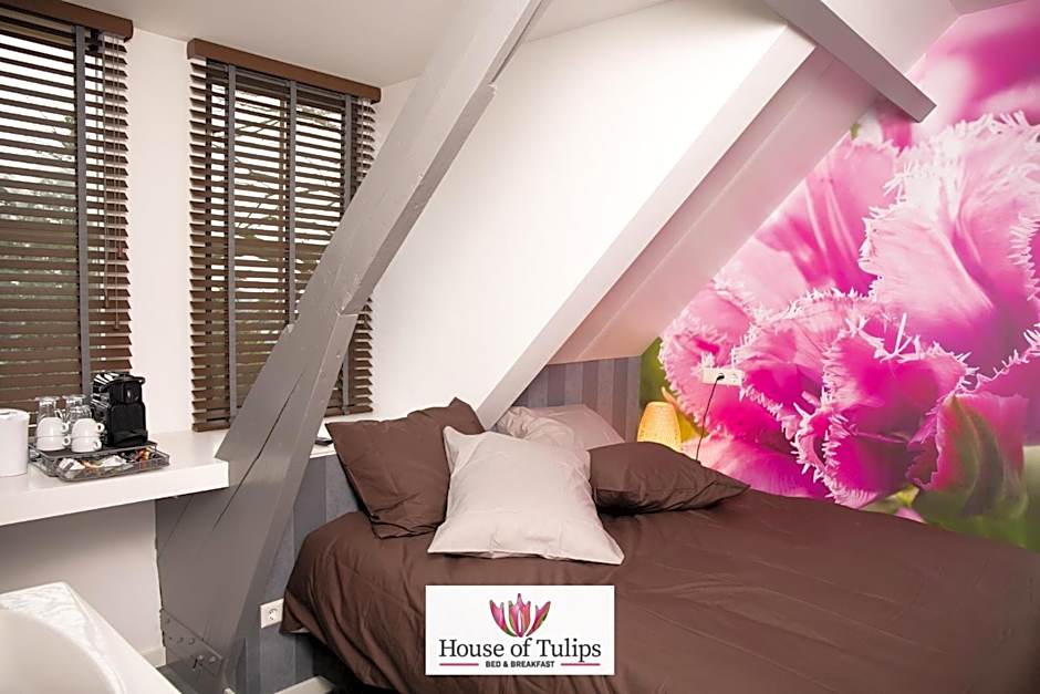 House of Tulips