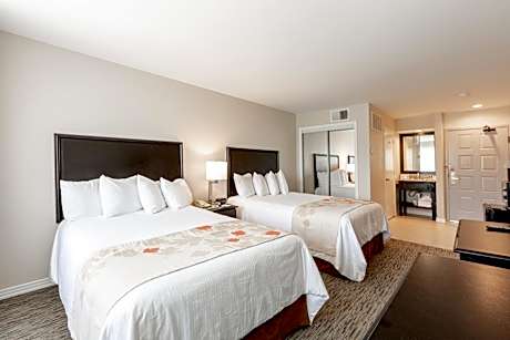 Double Room with Two Double Beds - Non-Smoking
