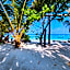The Hive Beach