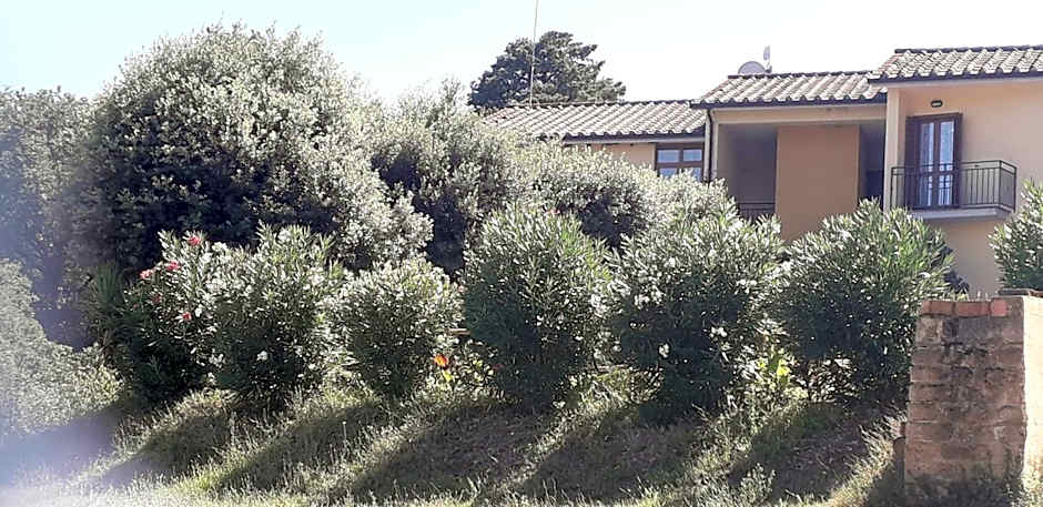 Scacco Matto