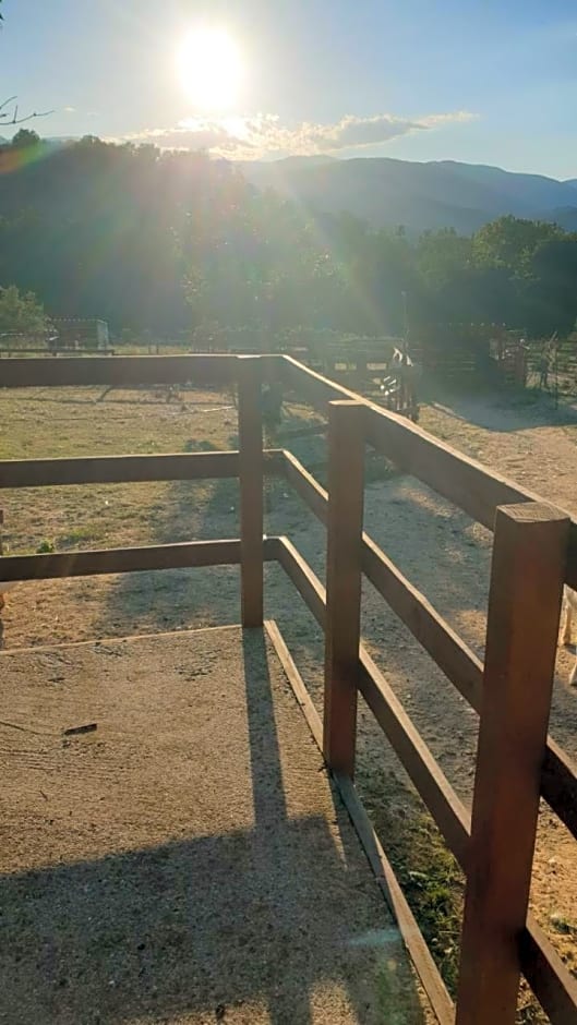 Chambre d'hôtes le petit Ranch