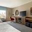 Hampton Inn And Suites By Hilton Johns Creek