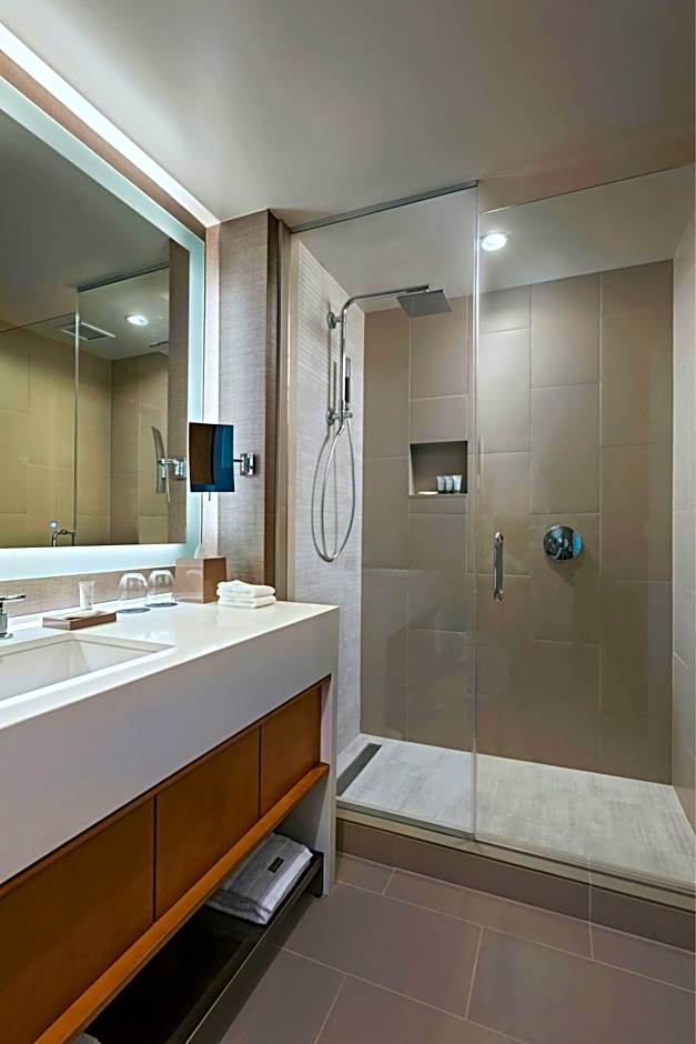 The Westin Irving Convention Center at Las Colinas