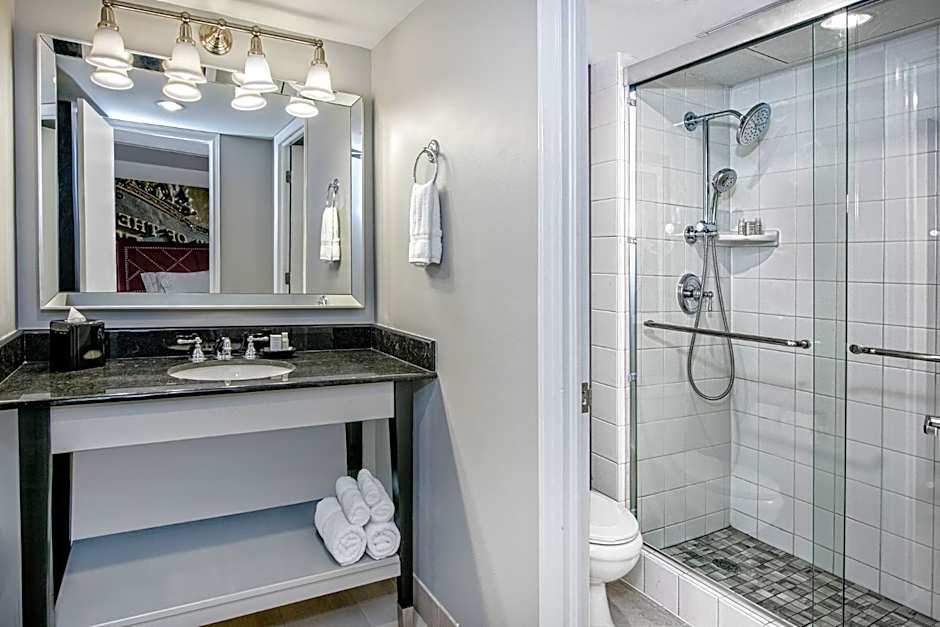 Hotel Indigo Dallas Downtown By IHG
