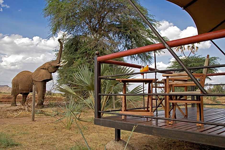Ashnil Samburu Camp