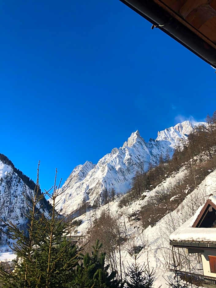 Hotel Chalet Joli