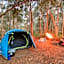 Crayfish Creek Van & Cabin Park