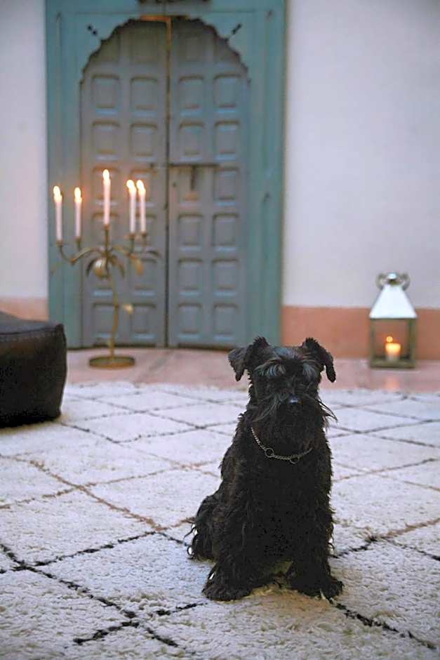 Riad Le J