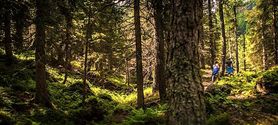 Nature Bio Hotel Elite