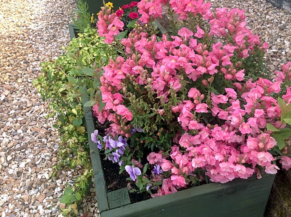 Meadowview – Cullompton