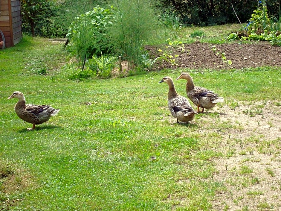 La Chambre du Meunier