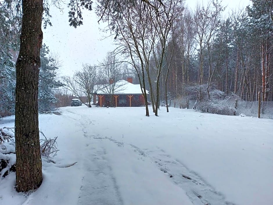 Dom imprezowy z noclegami Dziecinów