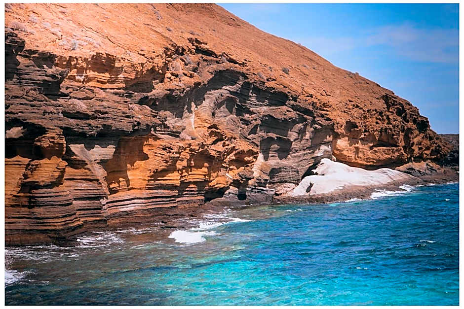 Single Fin Surf Hostel