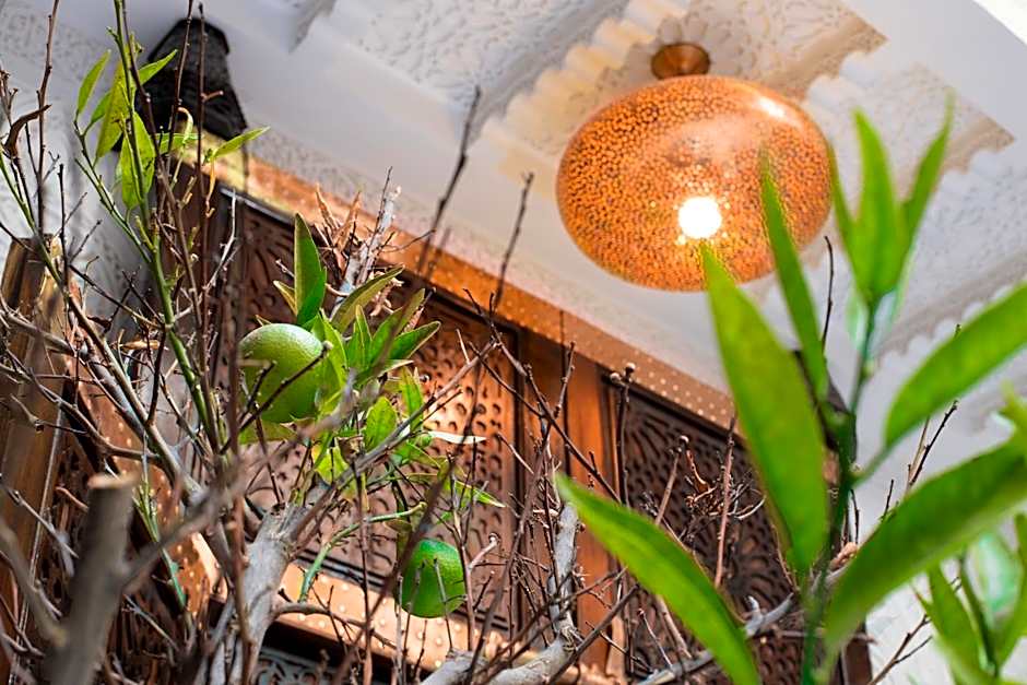 Riad La Vie