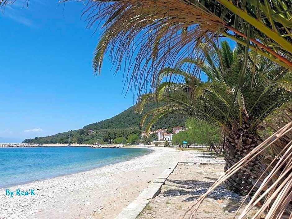 SK studios & apartments