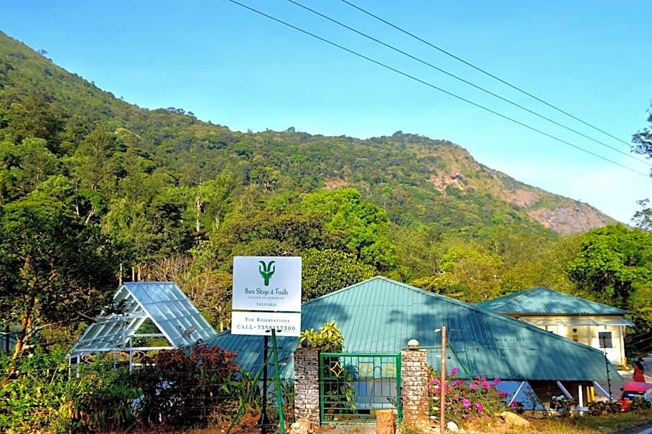 Ibex Resorts, Valparai Mistly
