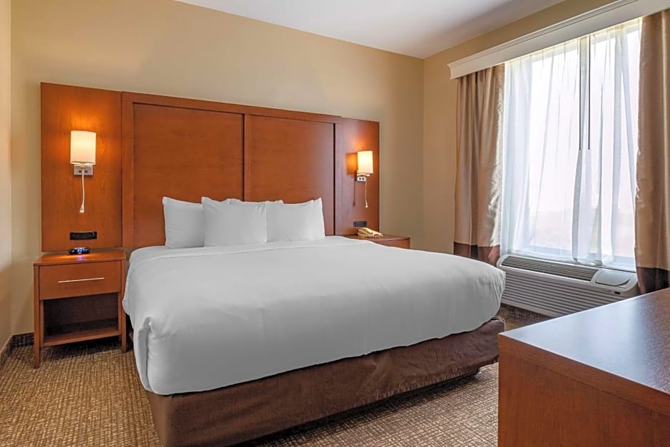 Comfort Suites Near Texas Medical Center - NRG Stadium