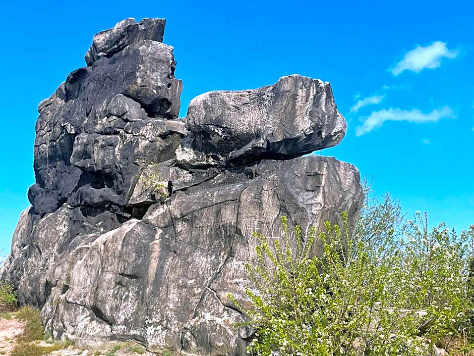 Harzhotel Warnstedter Krug