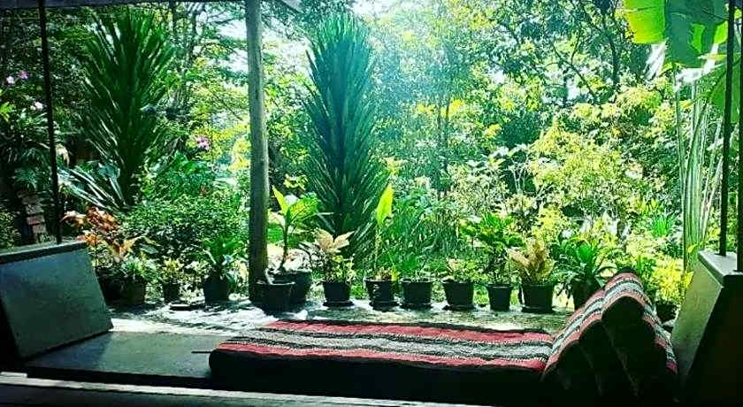 Fandee Island - Tad Lo - Bolaven Loop Pakse