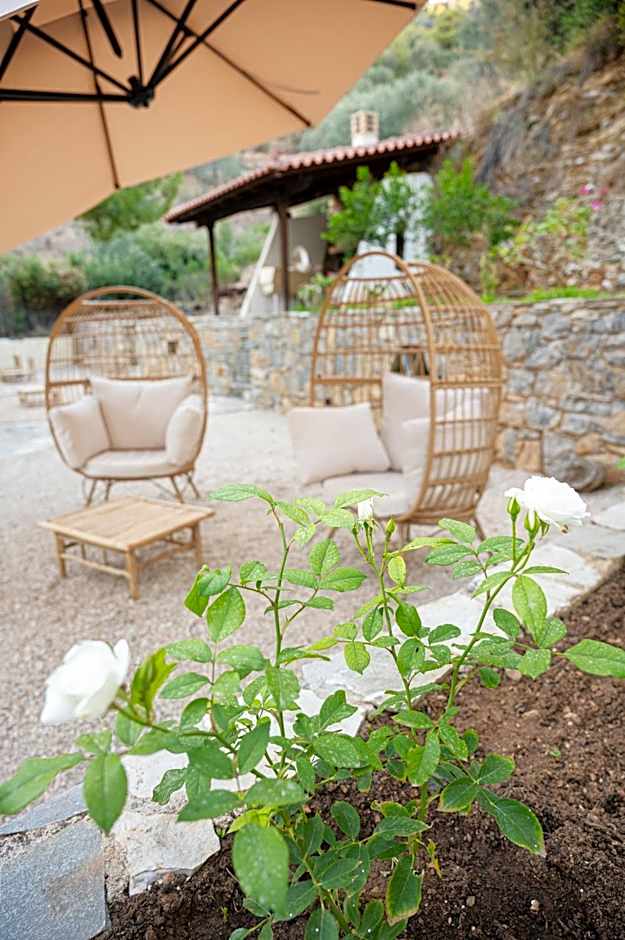 The White Rose Hotel