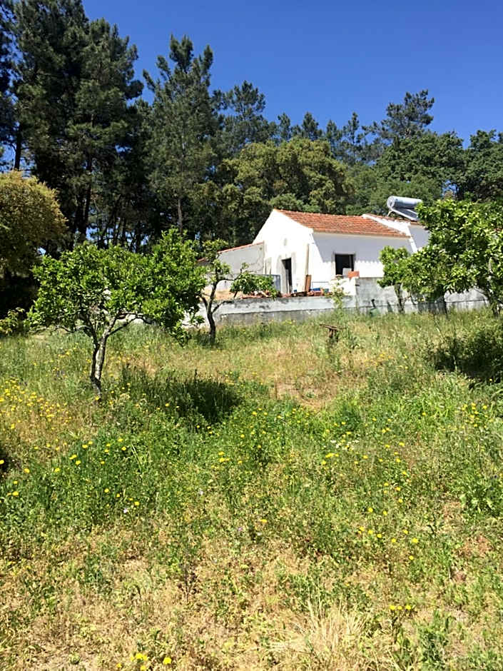 Casa do Loureiro Branco