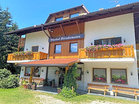 Hotel Friedemann