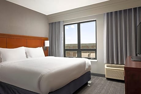 Suite, 1 King, Sofa bed
