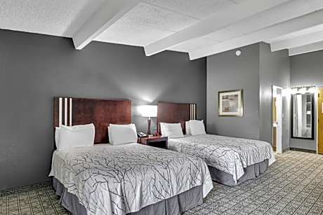 2 Queen Bed