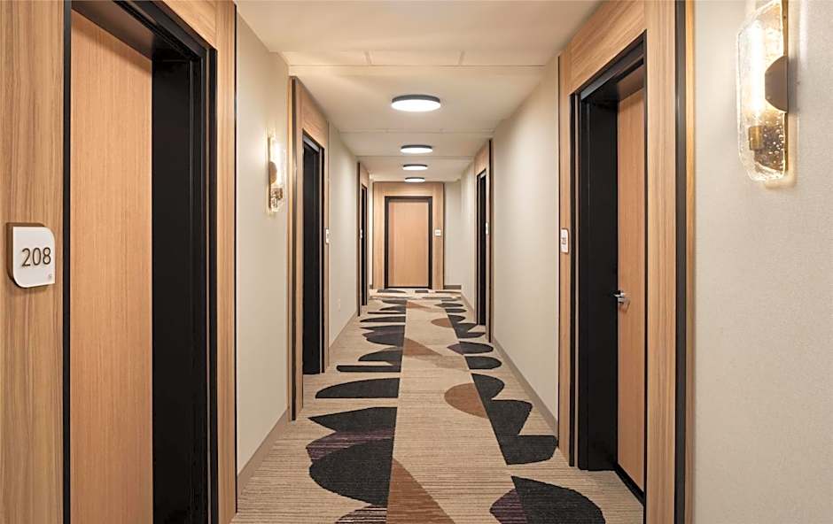 Hilton Garden Inn Greenville University Area