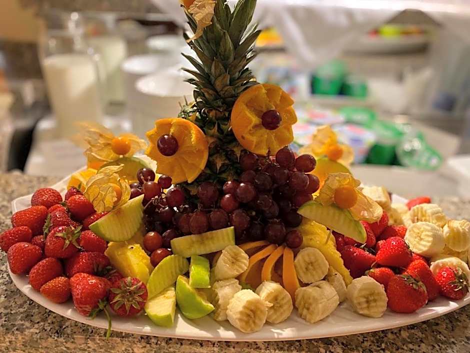 Astralis Hotel Domizil