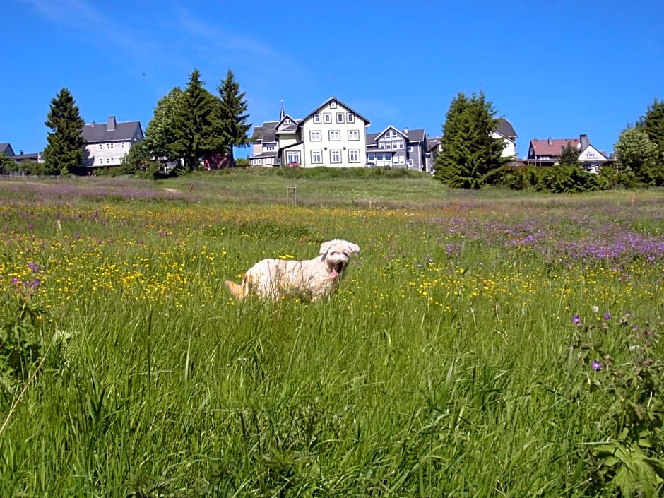 Hotel Schöne Aussicht