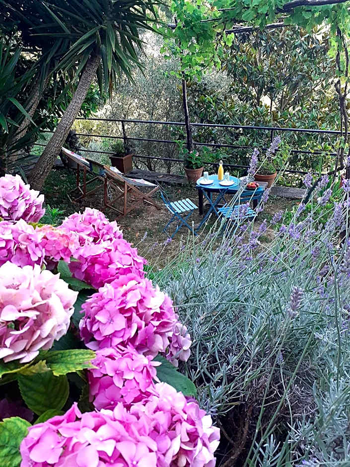 B&B I Glicini