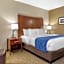 Comfort Inn Near Greenfield Village