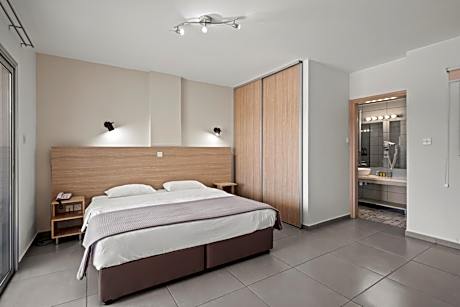 Deluxe One-Bedroom Apartment