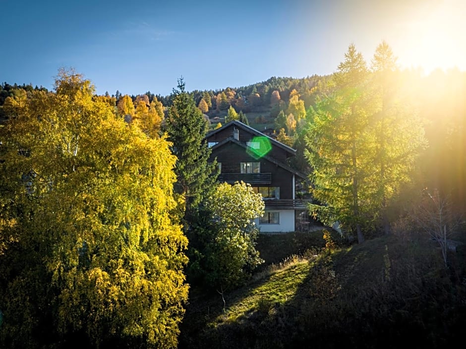 Hotel Restaurant Bürchnerhof